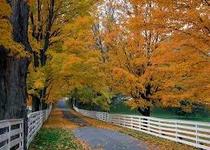 Oak Openings Hiking Trail