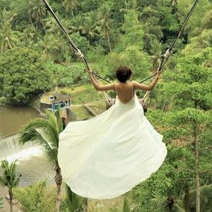 Jungle Swing