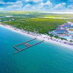 Delphinus Playa Mujeres