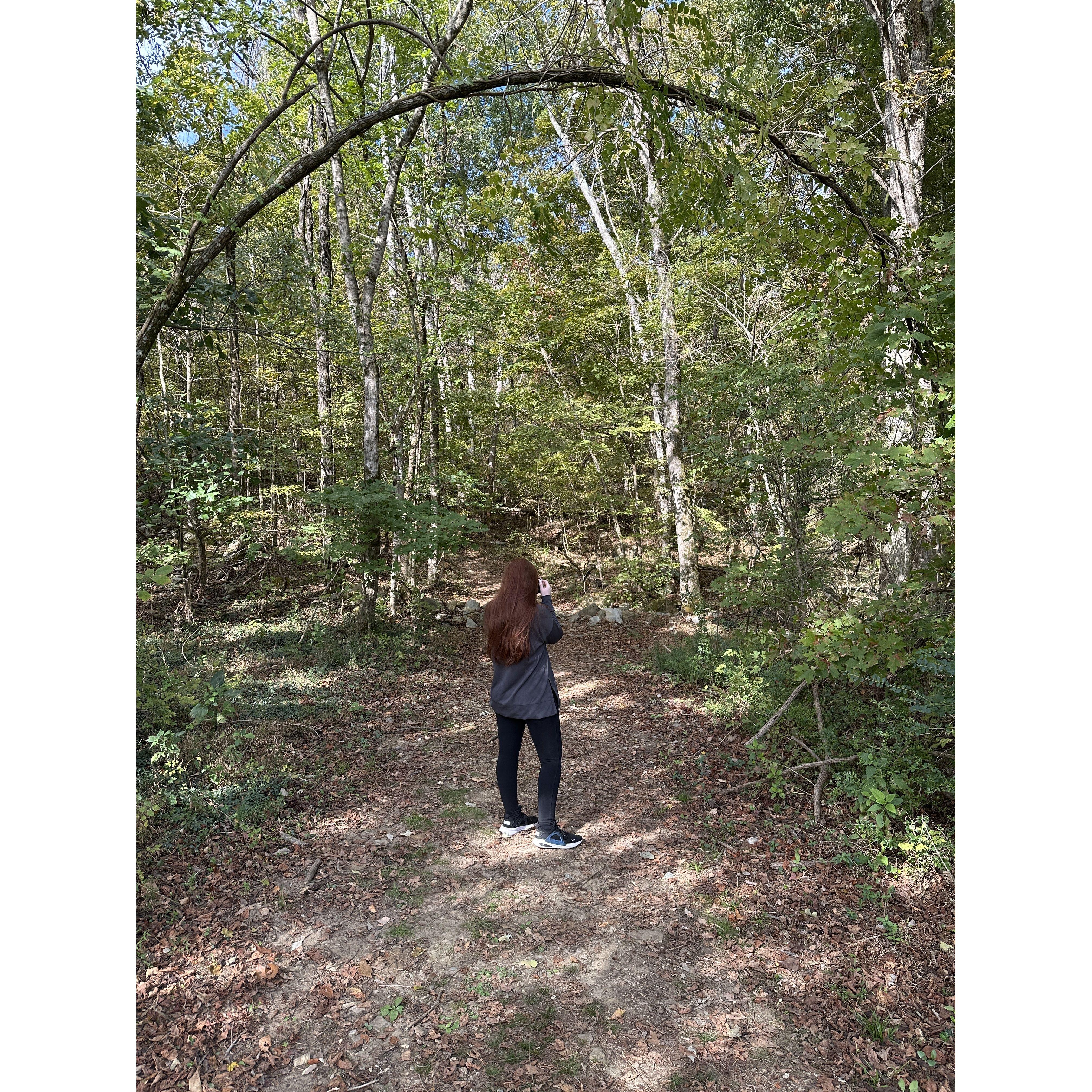 Pathway to 3-state border