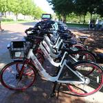 VeoRide