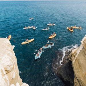 La Jolla Kayaking Tour
