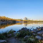 世纪公园 Century Park