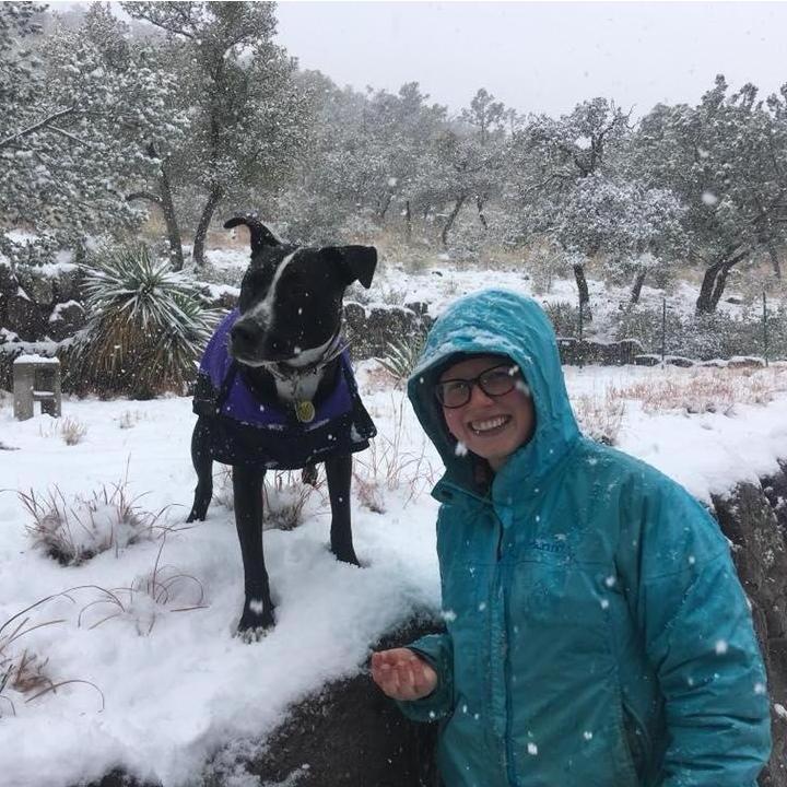 It snows in Arizona! Not as much as in Yellowstone, but enough for a few fun snow days!