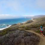 Andrew Molera State Park