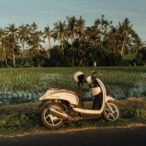 Scooter Rental in Ubud, Indonesia