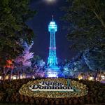 Kings Dominion