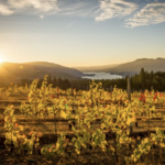 Wineries and Breweries