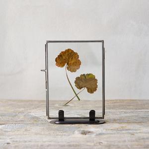 Standing Specimen Frame, Medium