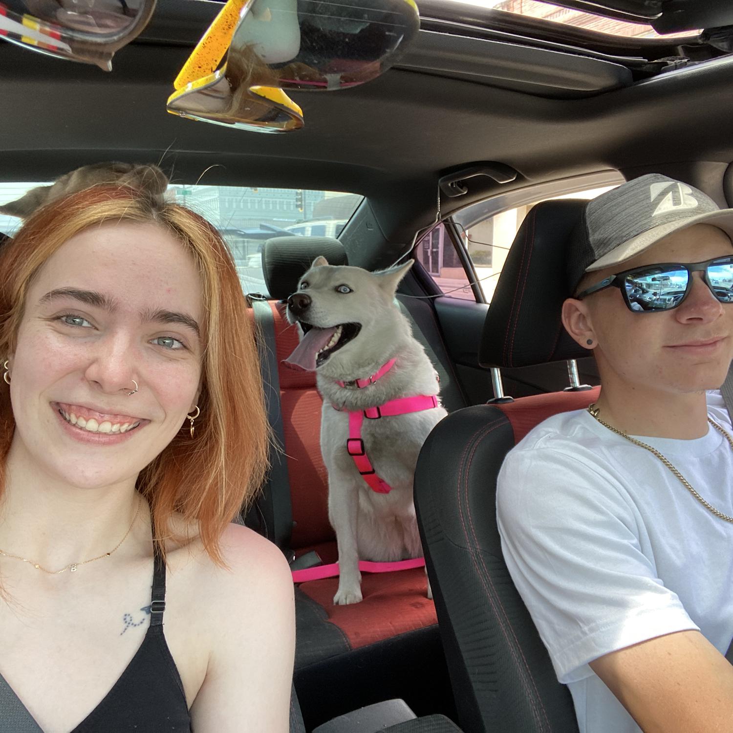 took the dogs on an adventure