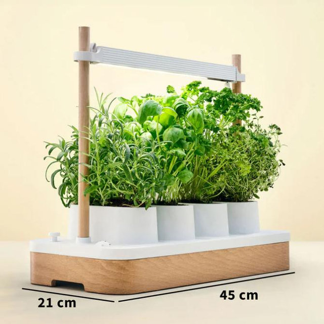 Auk Mini Herb Garden