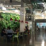 South Shore Market