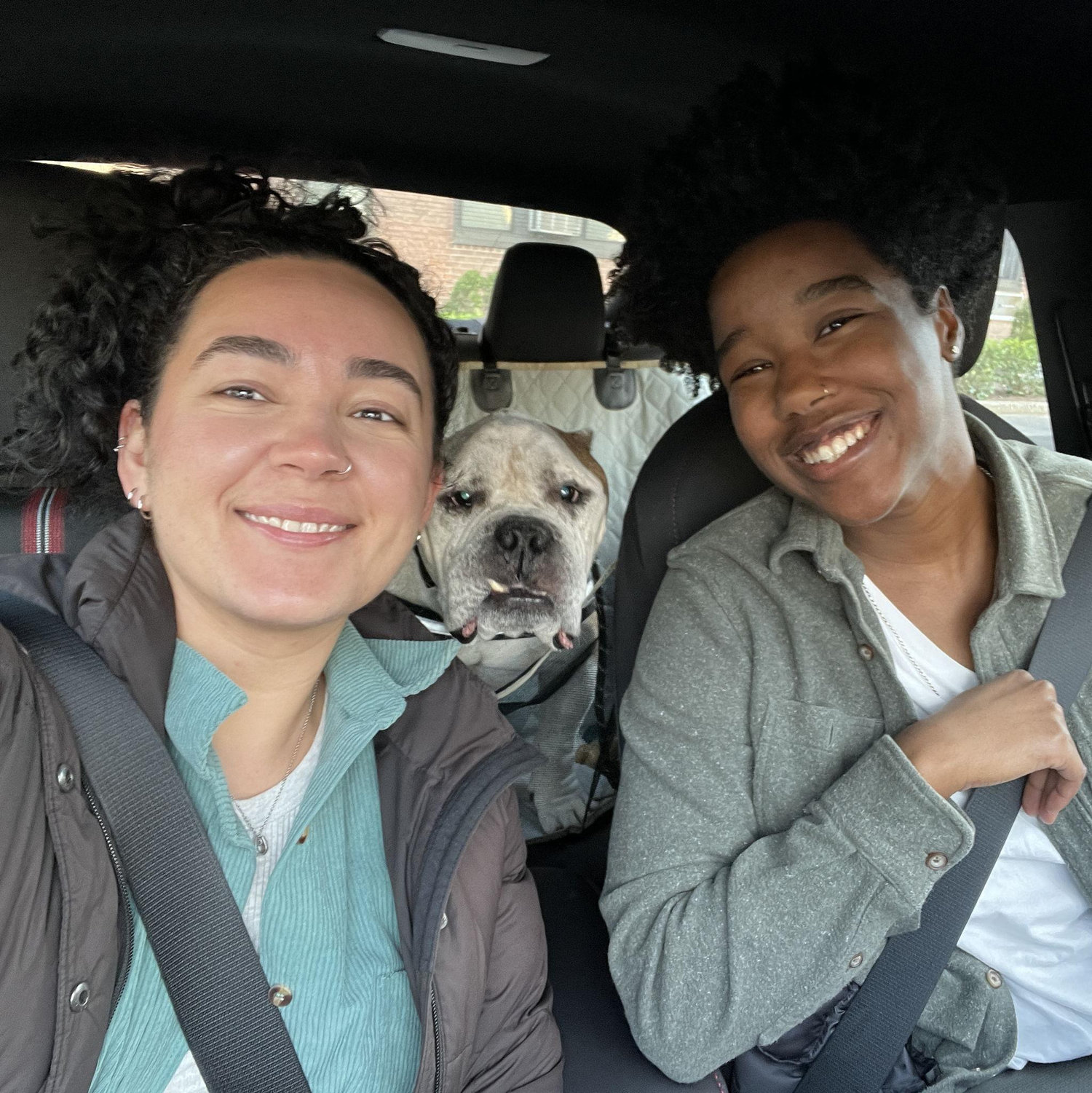 We started fostering dogs in 2021. This guy was Popeye, a senior pup who loved napping and trips in the car.