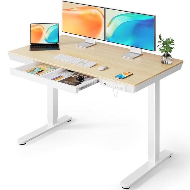ErGear Electric Standing Desk, 48 x 24 inch Standing Desk with Drawer, Sit Stand Desk with Preassembled Top & USB Charging Ports, Height Adjustable Standing Desk for Home & Office (Natural Wood)