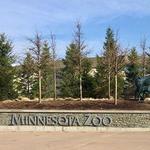 Minnesota Zoo
