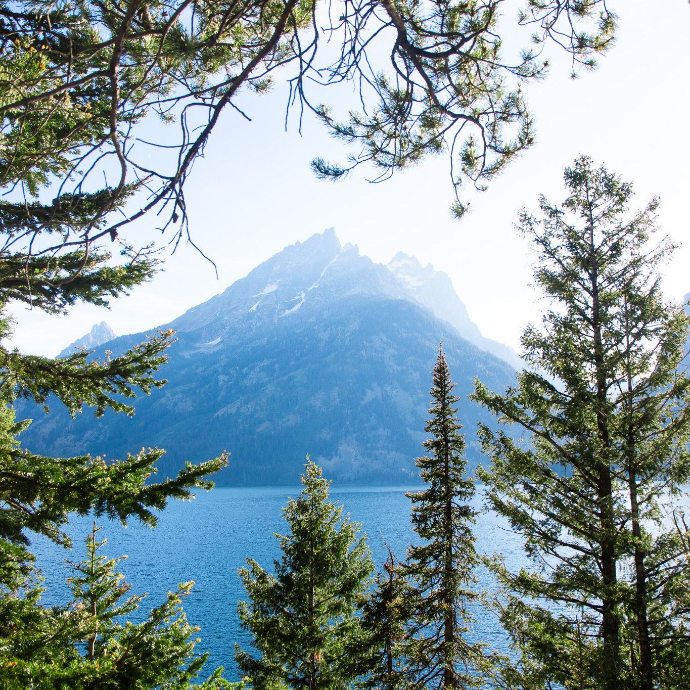 Grand Teton National Park