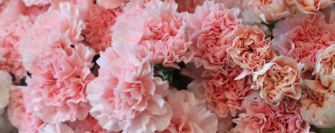 The Wedding Website of Makayla Villela and Tannor Kinder