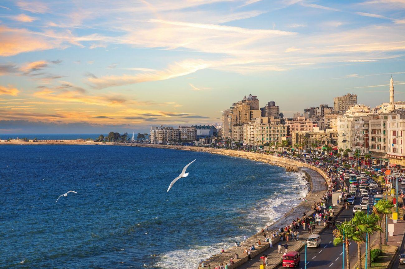 The Wedding Website of Alaà Ragab and Gino do Vale