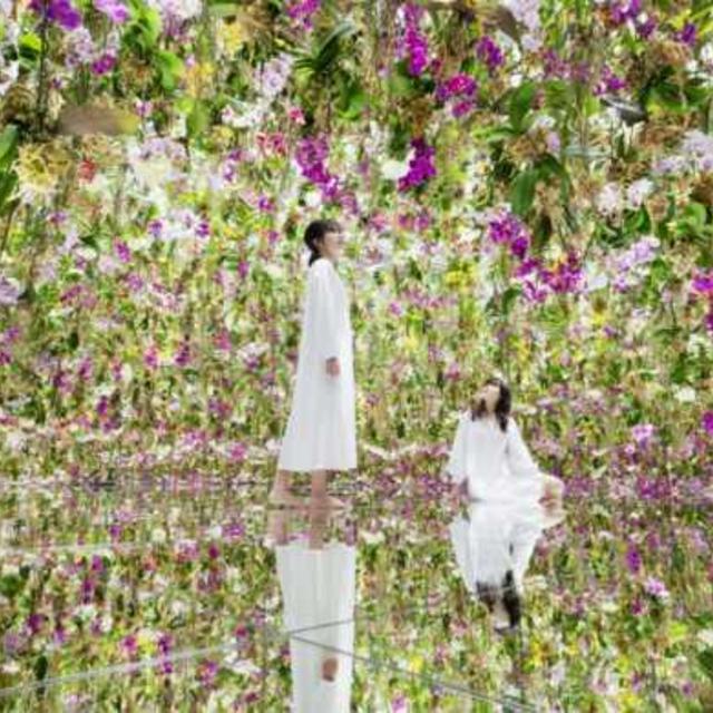 Honeymoon - Tokyo Digital Art Museum Admission for 2