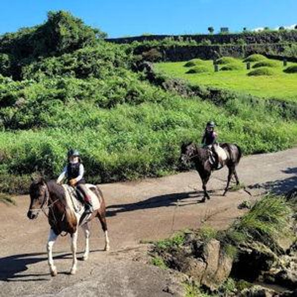 Honeymoon Horseback Riding