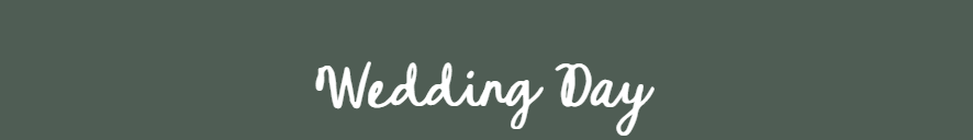 The Wedding Website of Elaina Stromberg and Michael Wilson