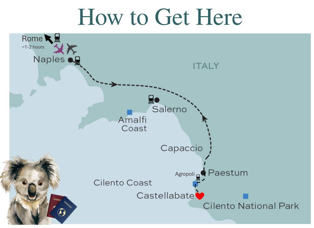 The Wedding Website of Anne-Louise Eleanor Knight and Stefano Capo