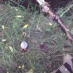 Connect with Unexpected Corners of Nature