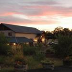 Twisted Oak Winery