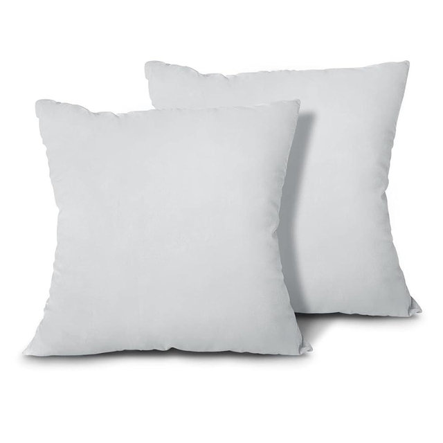 EDOW Throw Pillow Inserts, Set of 2 Lightweight Down Alternative Polyester Pillow, Couch Cushion, Sham Stuffer, Machine Washable. (Grey, 20x20)