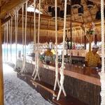 Swing Bar