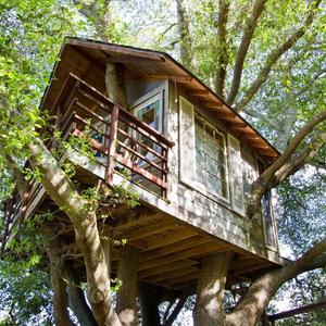 Treehouse Above San Francisco Bay!