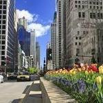 Magnificent Mile