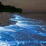 Holbox
