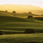 Vina Robles Vineyards & Winery