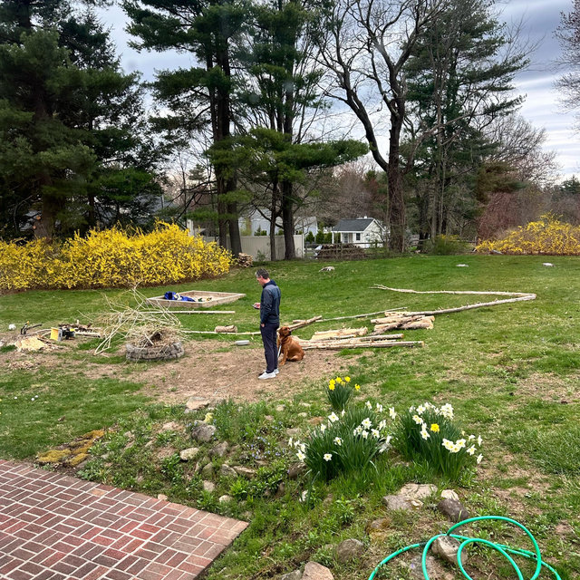 Native Plants/Landscaping