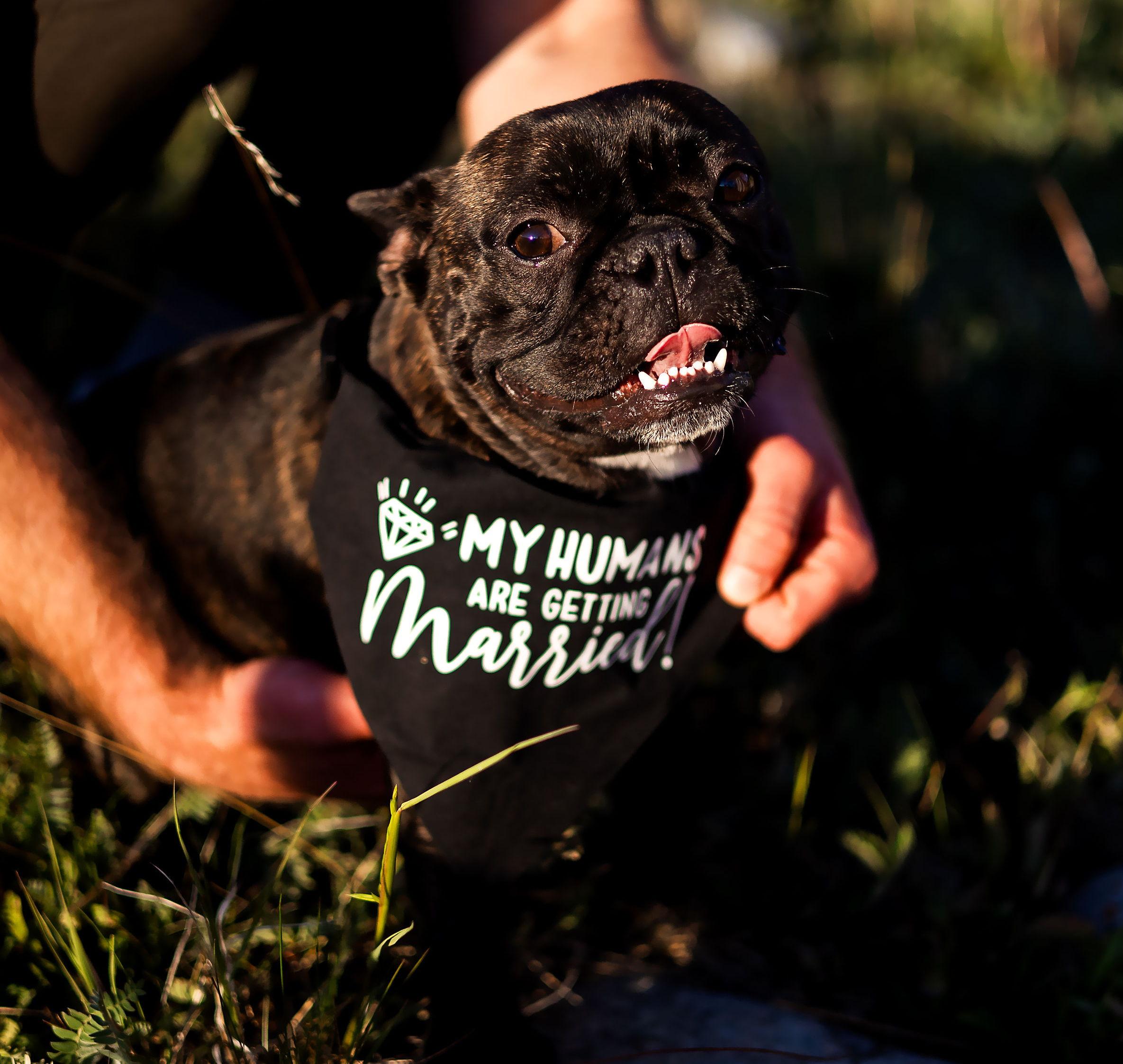 The Wedding Website of Molly Pomeroy and Ricky Enright