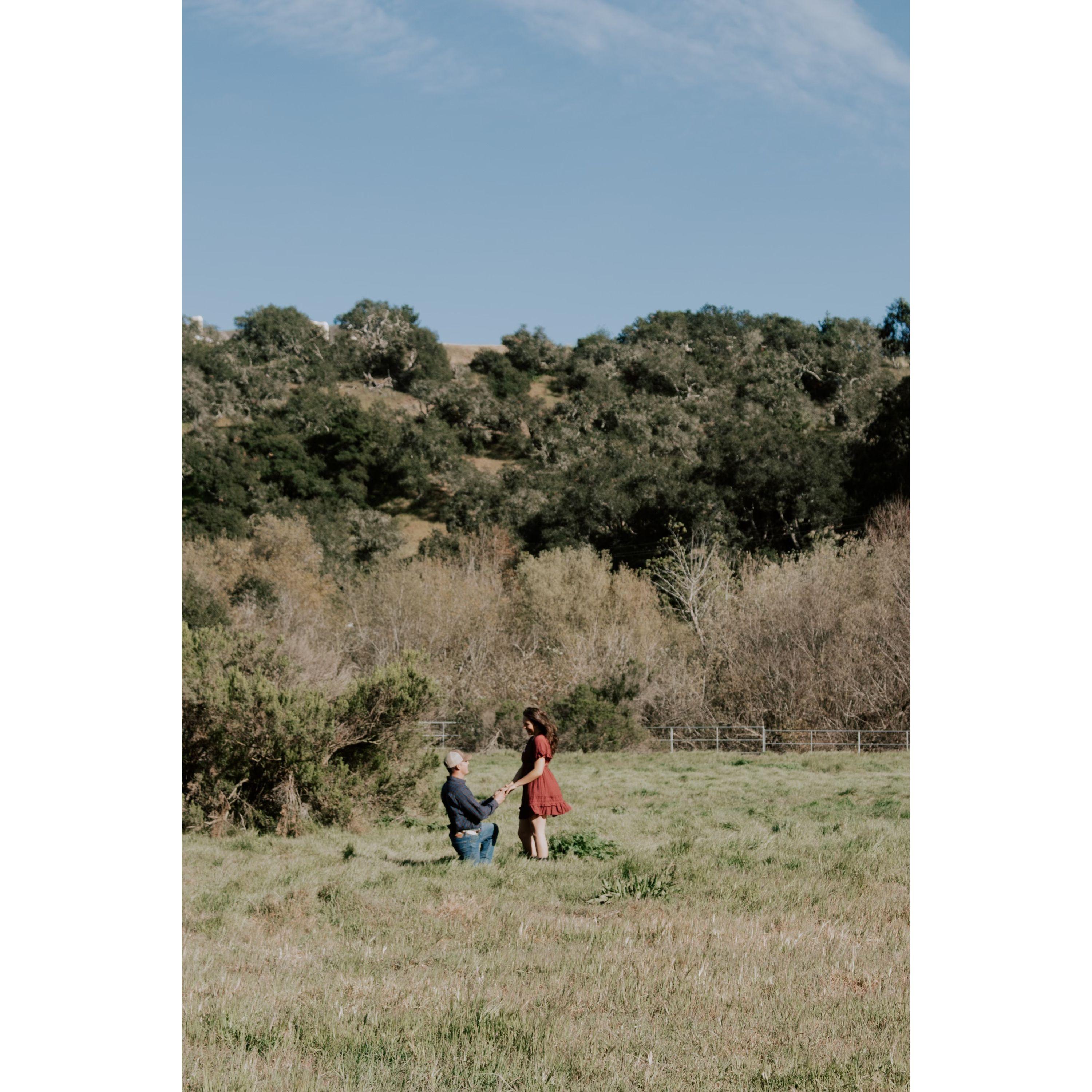 Reenacting our engagement for the photographer.