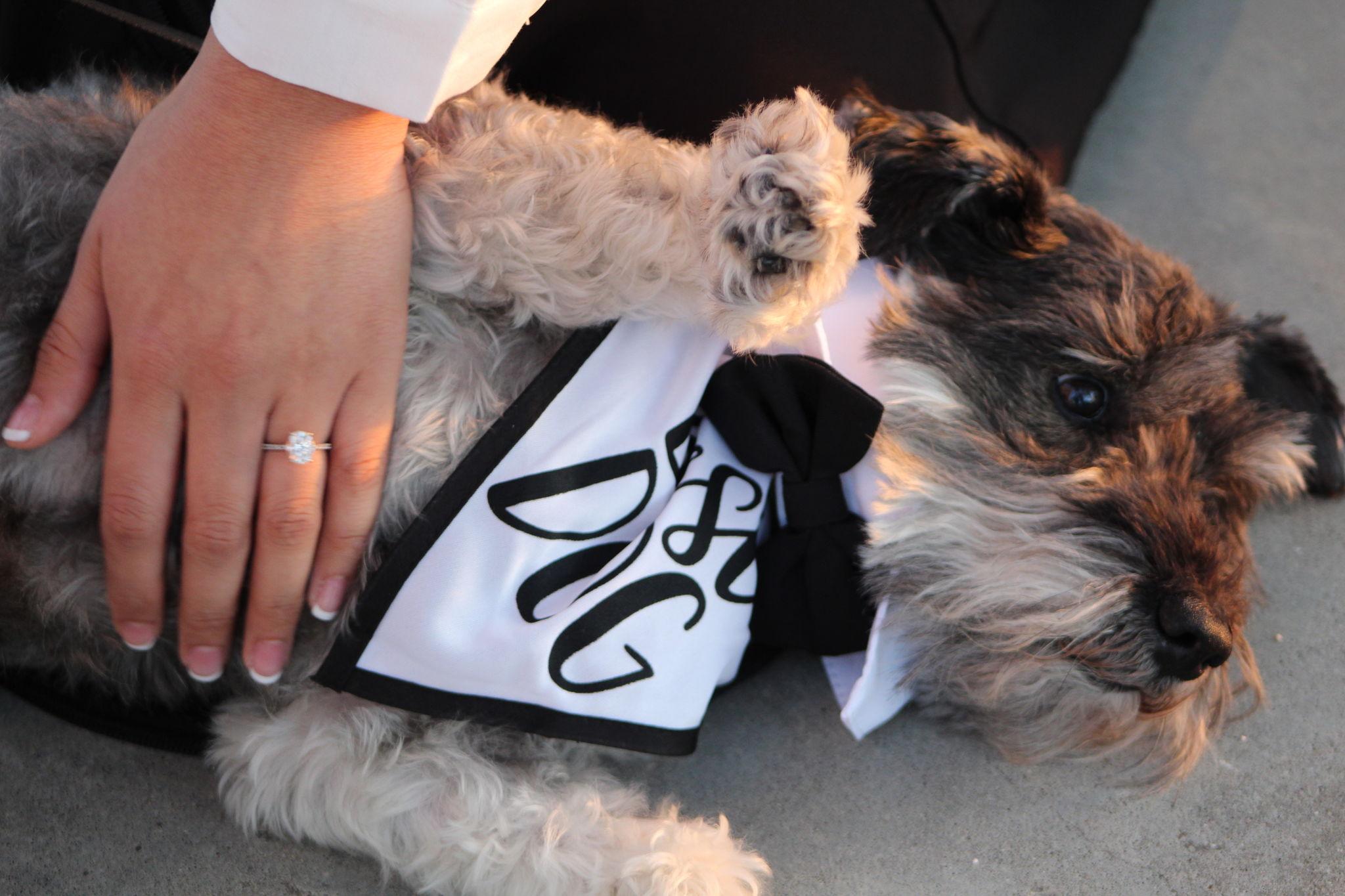 The Wedding Website of Daniella J. Collaso and Luis E. Rodriguez