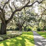 Brookgreen Gardens