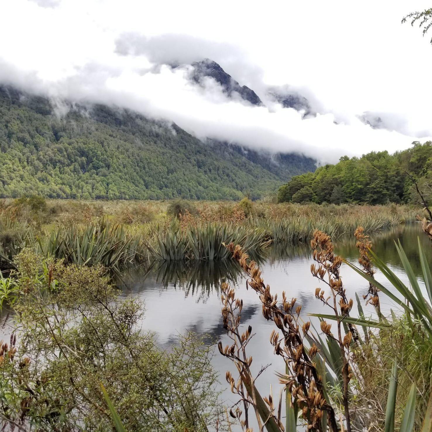 New Zealand