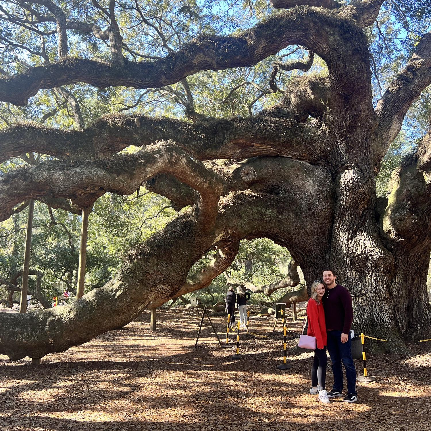 Angel Oak - Johns Island, SC