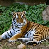 Louisville Zoo