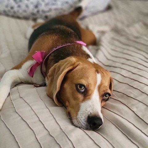Roc's favorite way to spend the day is chillin' with Keely Shay