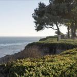 Shoreline Park