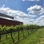 Huber's Orchard and Winery