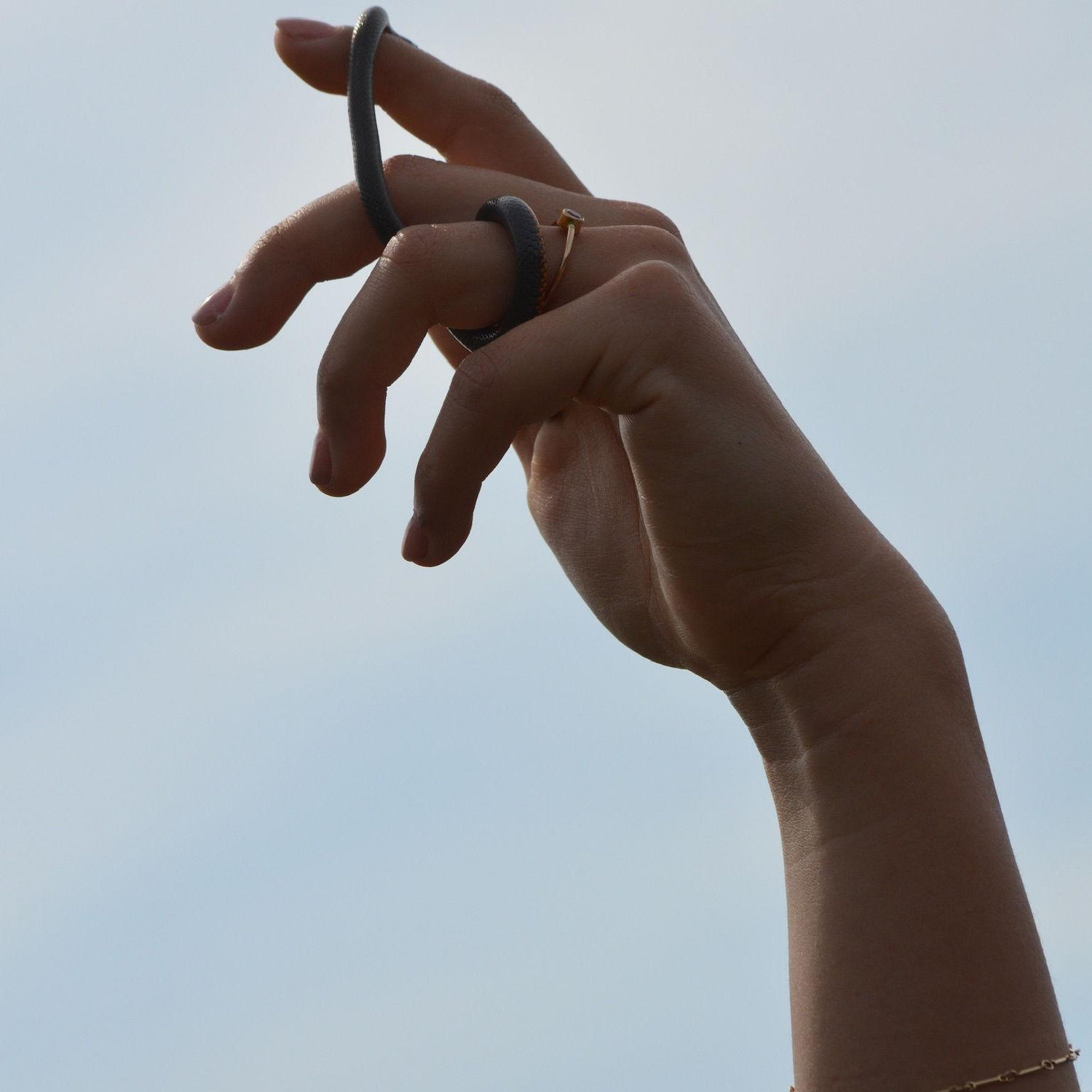 We caught a ring snake right before the proposal, so I (Natalie) was holding it the whole time haha.