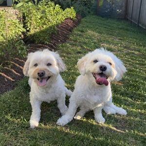 Beanz & Cooper Fund!