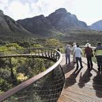 Kirstenbosch National Botanical Garden