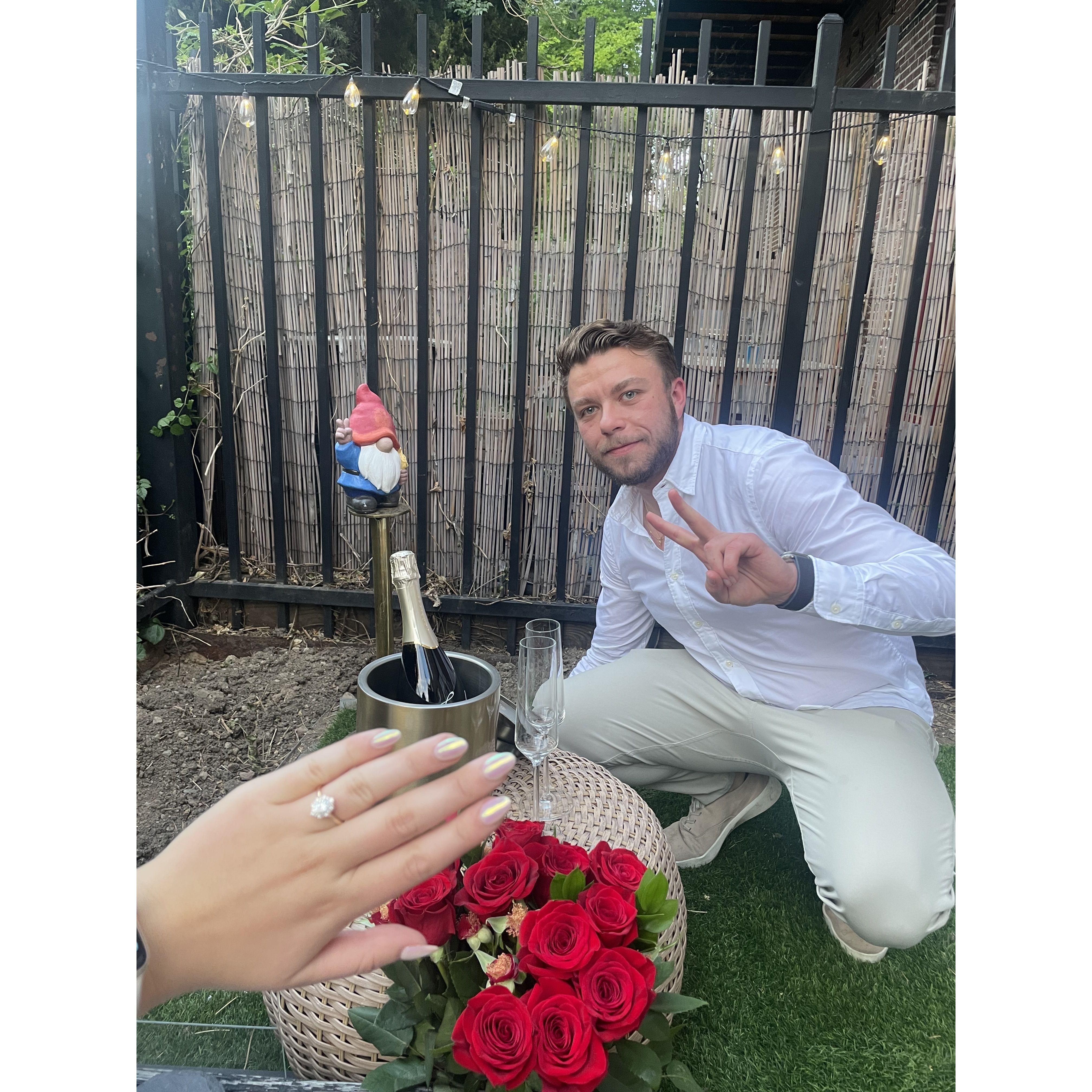 Proposal!! (The gnome gave Colin courage)
