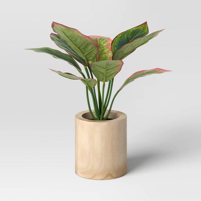 Evergreen Leaf Wood Potted - Threshold™